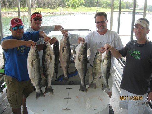 Nice Striped Bass